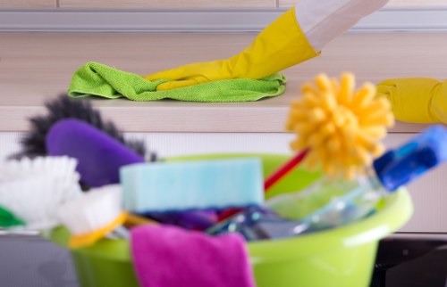 Pet stain odour removal on carpet with cleaning supplies