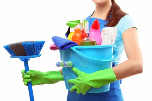 Professional carpet stain removal and deep cleaning process