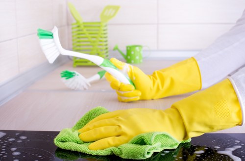 Cleaning product and cloth used for stain removal on fabric